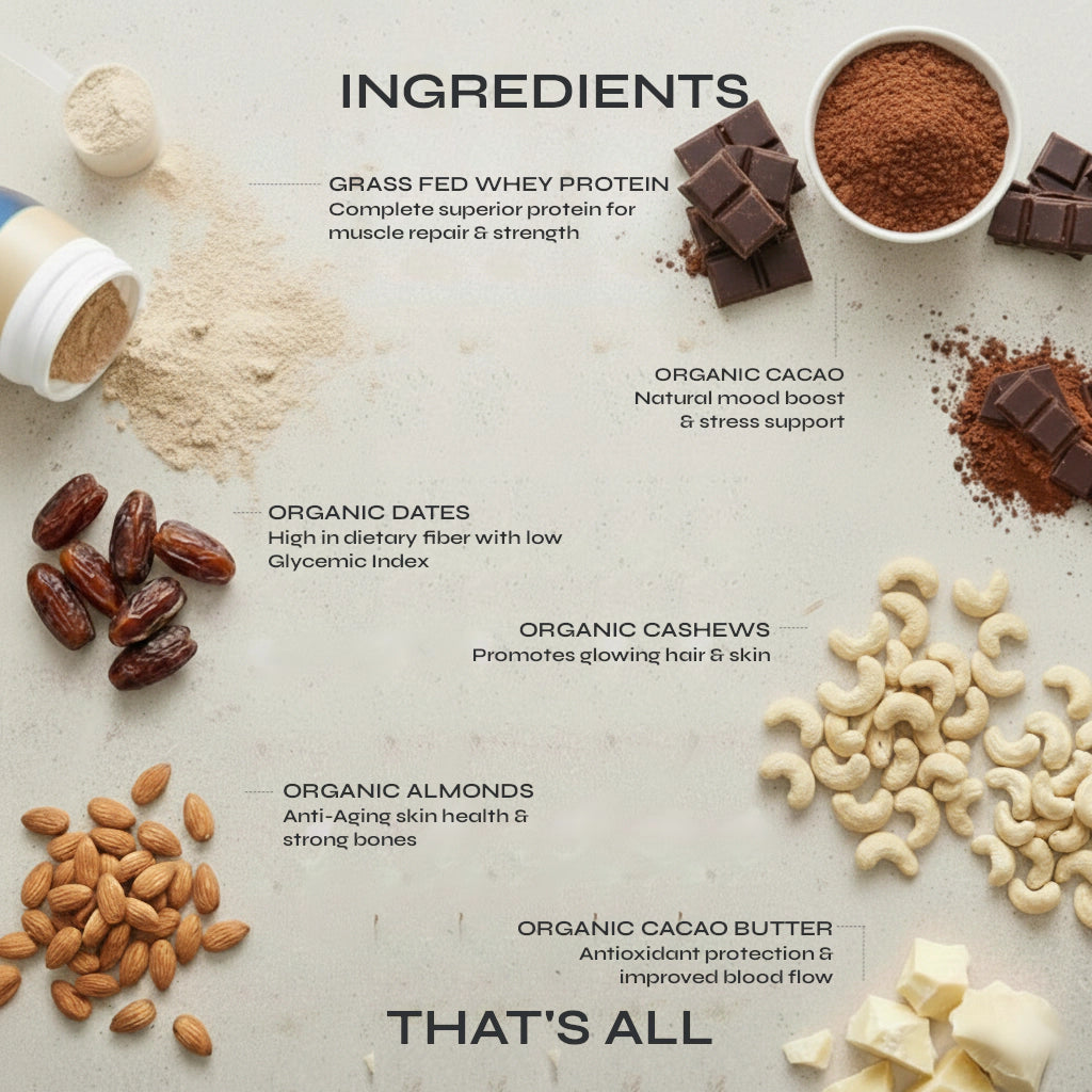 Chocolate Protein Bar