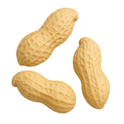 Organic Peanuts